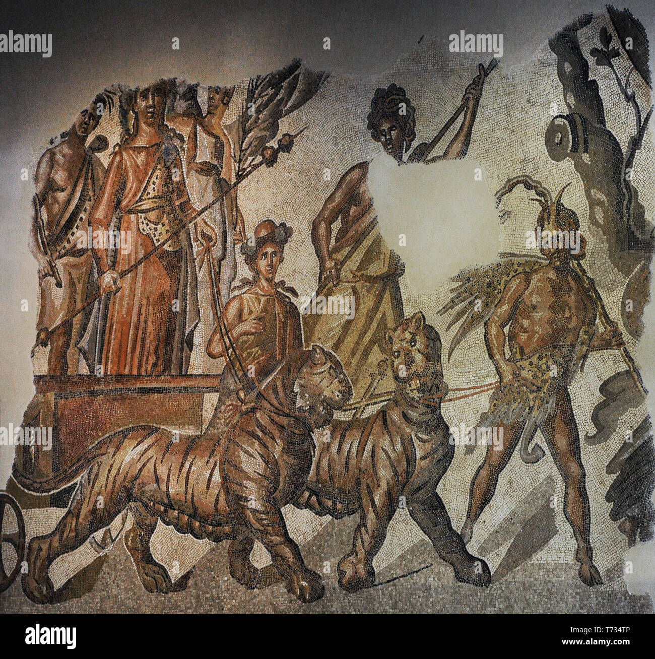 Römische Mosaik der Triumph des Bacchus. Detail. Es zeigt den Gott auf einem Wagen von zwei Tigern gezogen, neben einem Geflügelten Sieg und ein Satyr. Die Prozession wird von einem tanzenden Maenad (nur teilweise erhalten), gefolgt von Pan mit dem nebris geleitet, die den Tieren durch Ziehen am Zügel. Neben dem Tiger, einen Maenad mit Ivy Crown und eine Taschenlampe und ein Mädchen. 2. Marmor. Von Caesaraugusta (Zaragoza, Aragon, Spanien). Nationalen Archäologischen Museum. Madrid. Spanien. Stockfoto