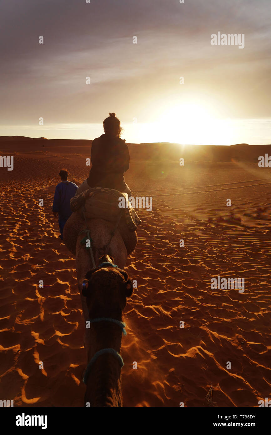 Kamelreiten in der Wüste Sahara, zu erreichen Erfoud, die Hauptstadt der Tifilalt, einem riesigen, ausgedehnten Patchwork von Oasen, ksour (befestigte Stockfoto