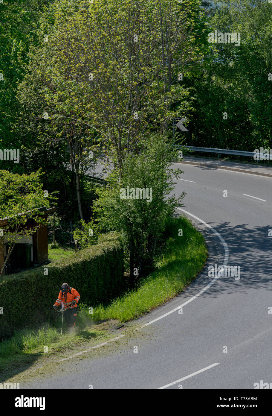 Ein stadtarbeiter Clearing am Straßenrand von Gras und Unkraut mit einem weed Eater Stockfoto