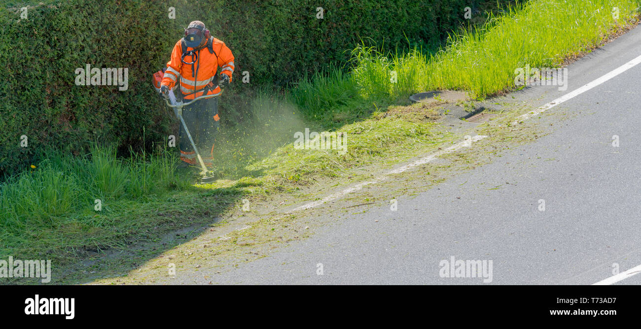 Ein stadtarbeiter Clearing am Straßenrand von Gras und Unkraut mit einem weed Eater Stockfoto