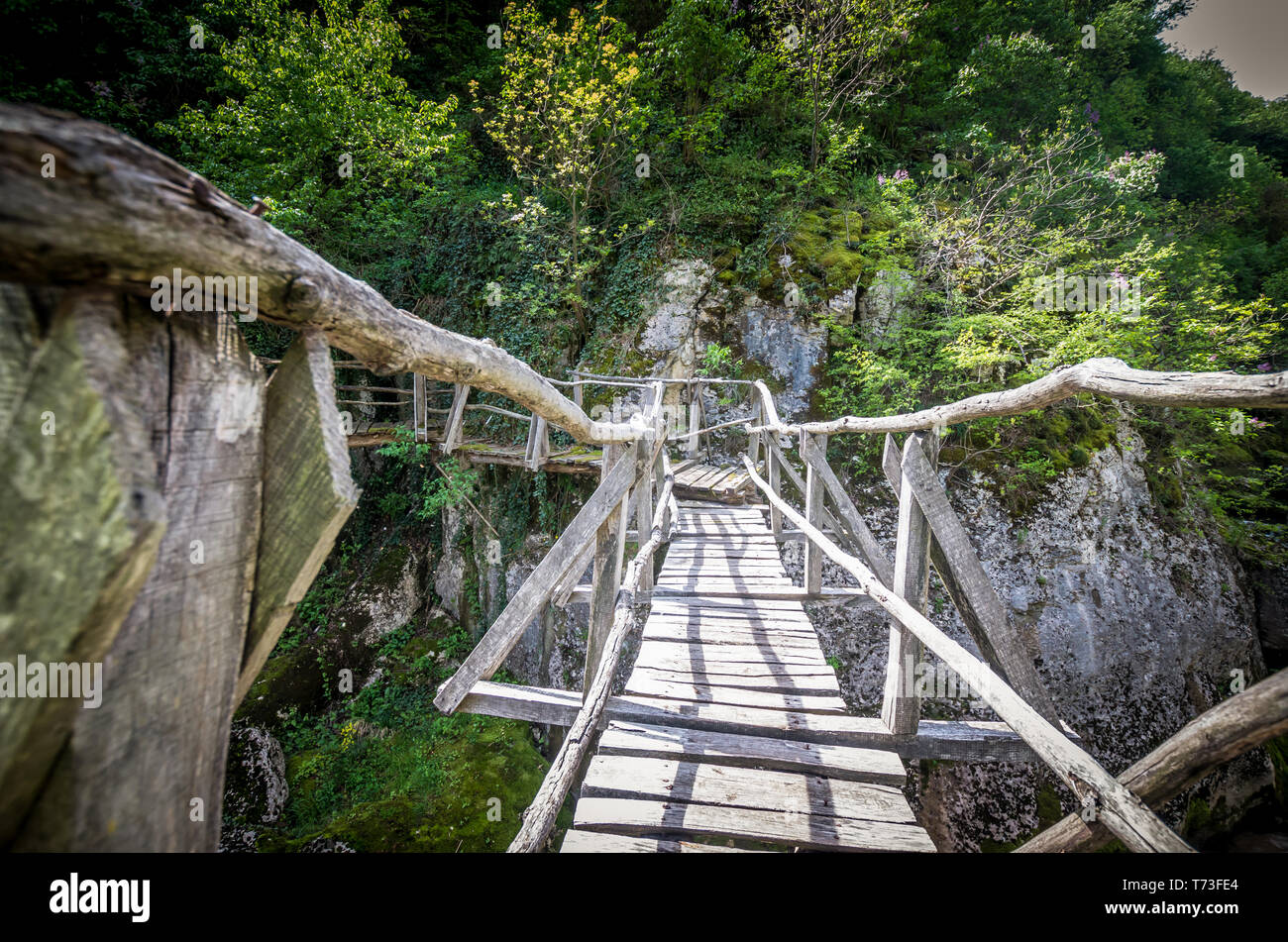 Emen Canyon, Bulgarien. Holz Brücke über den Fluss in einer üppigen Wald Stockfoto