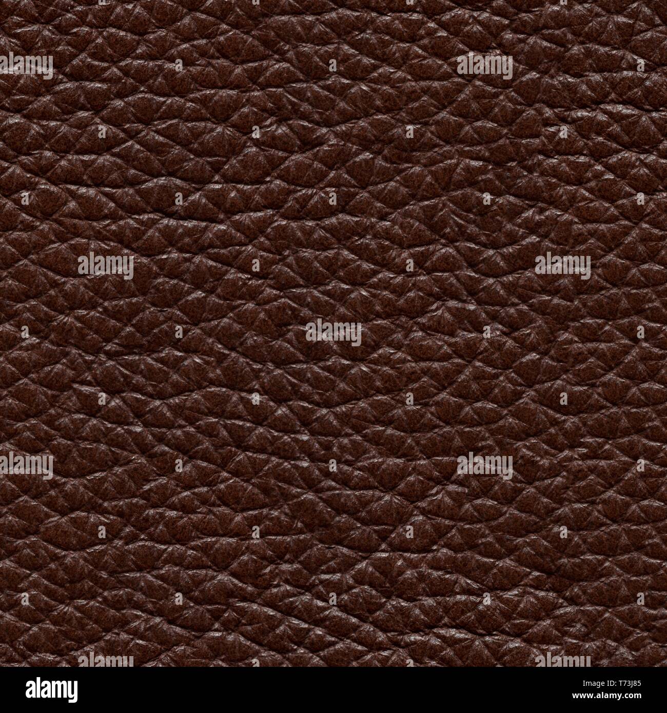 High quality leather texture -Fotos und -Bildmaterial in hoher Auflösung –  Alamy