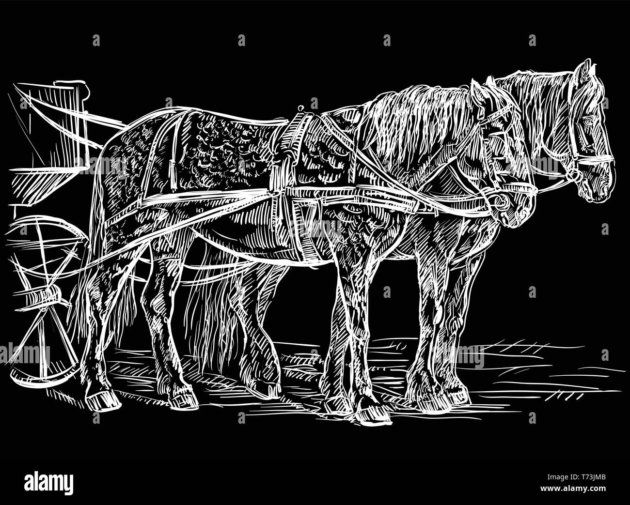 Vektor hand Zeichnung Abbildung Pferde stehen im Profil. Monochromen vector hand Zeichnung Skizze Abbildung in der Farbe Weiß isoliert auf Schwarz hinterg Stock Vektor
