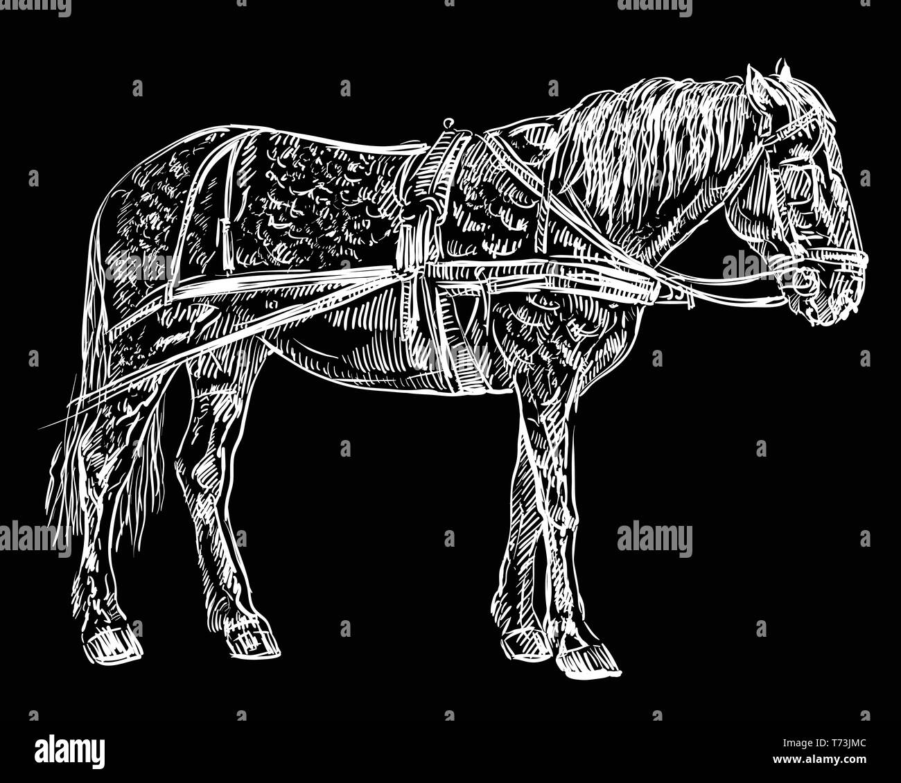 Vektor hand Zeichnung Abbildung Pferd steht im Profil. Monochromen vector hand Zeichnung Skizze Abbildung in der Farbe Weiß isoliert auf Schwarz backgr Stock Vektor