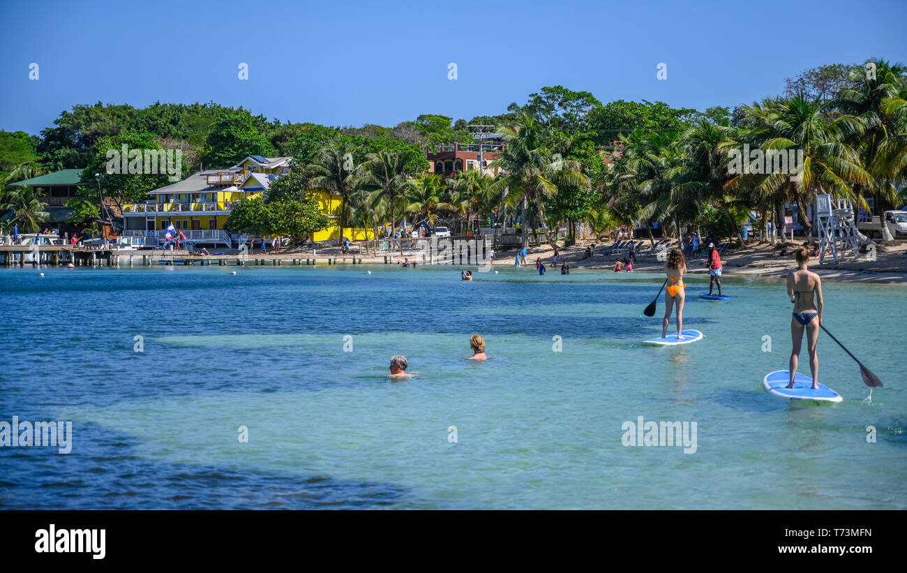 Touristen genießen das Wasser vor der Küste von West End Village; Roatan, Bay Islands, Honduras Stockfoto