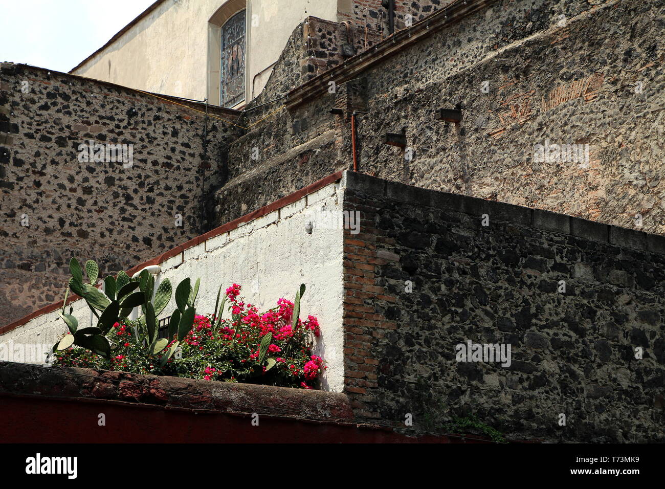 Coyoacan Borough, Mexiko Stadt. Stockfoto