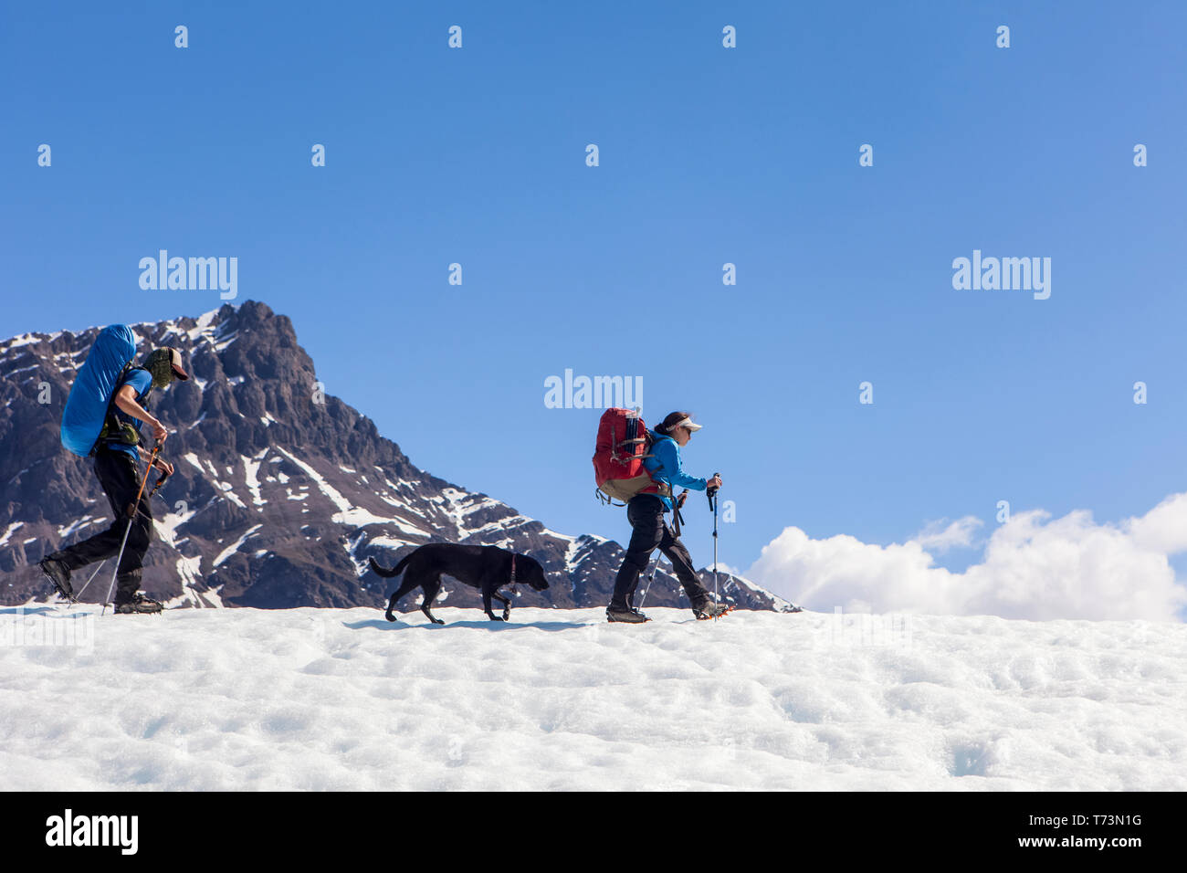 Paar und ihren Hund mit Rucksack auf der Kennicott Glacier, Wrangell Mountains, Wrangell-St. Elias National Park, South-central Alaska Stockfoto