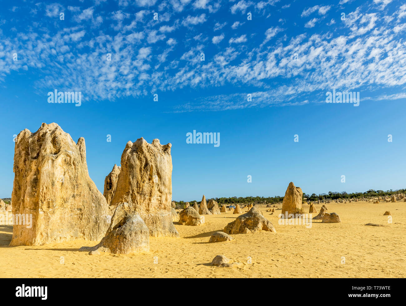 Schöne Sicht auf die Pinnacles Wüste vor Sonnenuntergang gegen eine dramatische Himmel, Western Australia Stockfoto