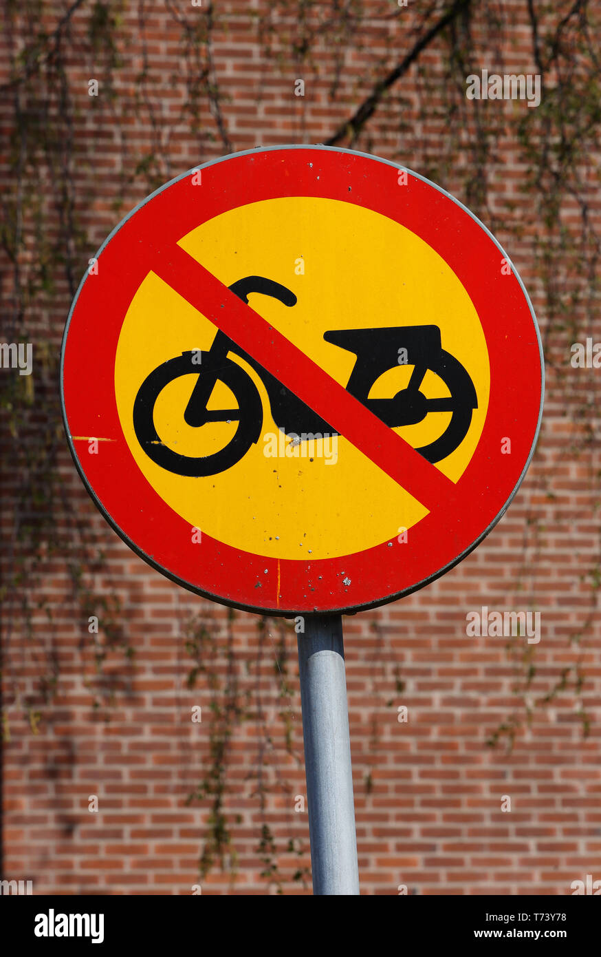 Moped Fahrzeuge verboten Schild vor einer roten Wand. Stockfoto