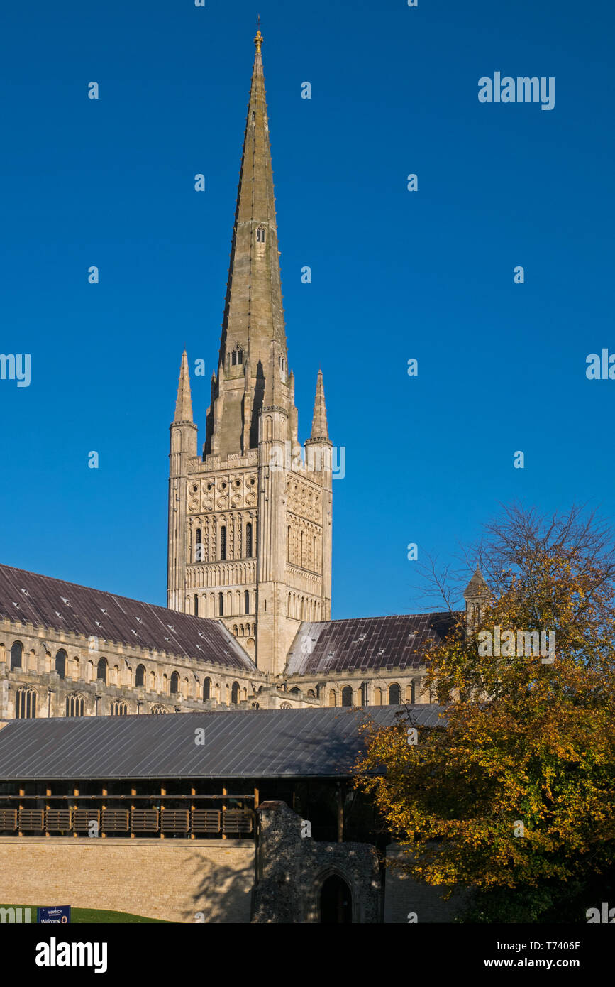 Norwich Cathedral mit Turmspitze über seine neue Mensa, Norwich, Norfolk, England, UK gesehen Stockfoto