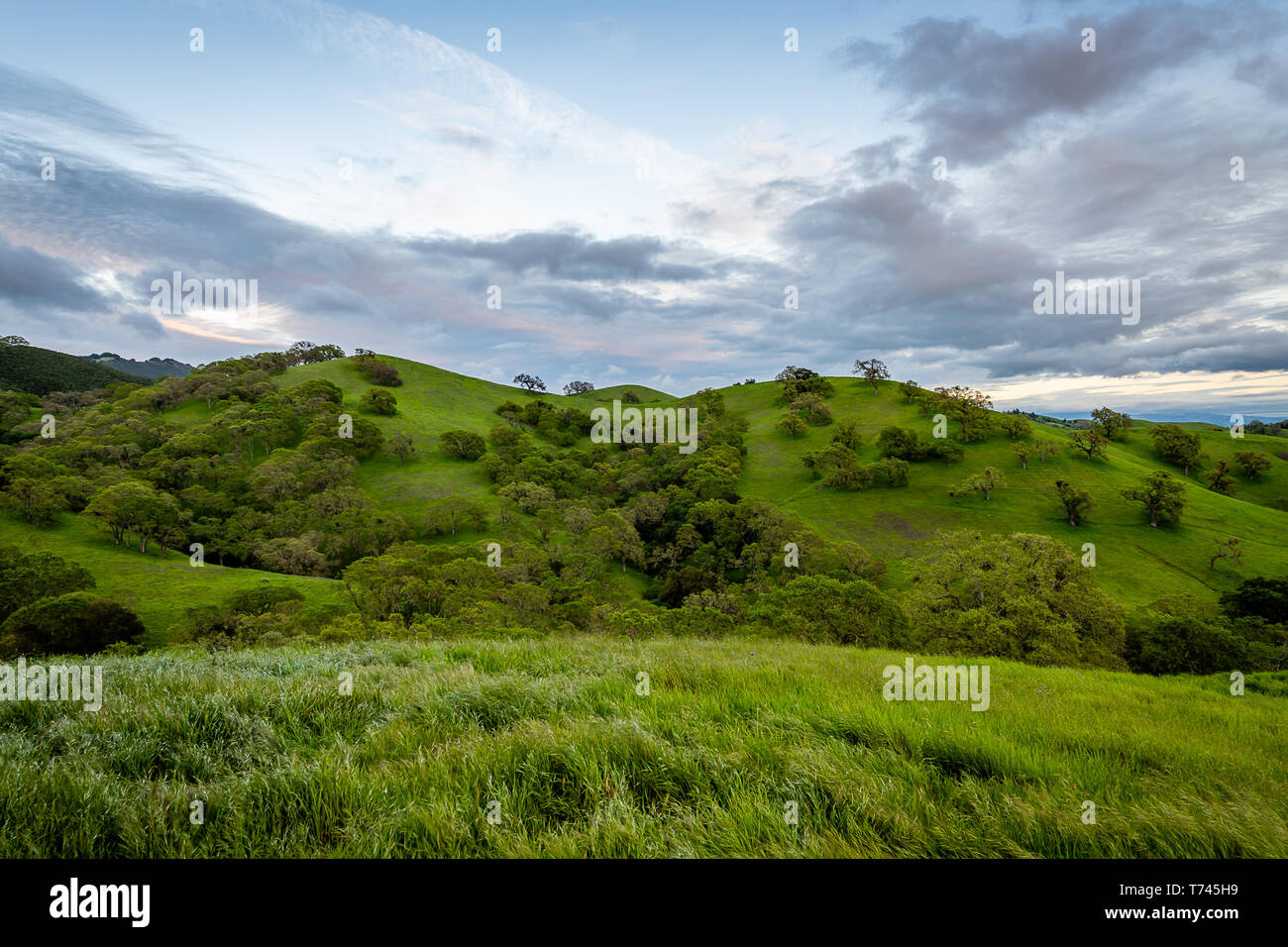 Sonnenuntergang über Mount Diablo State Park Stockfoto