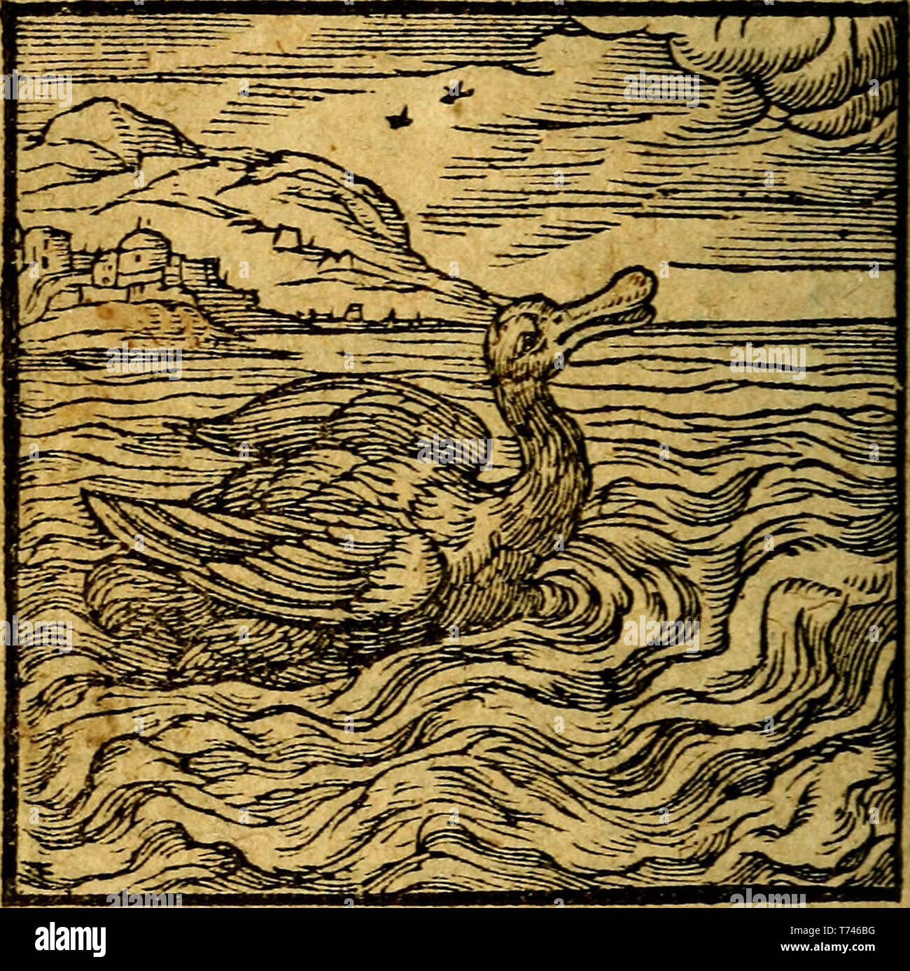 "Emblemata V.C. Andreae Alciati Mediolanensis iurisconsulti: cum Einrichtungen & compendiosa explicatione, qua Obscura soluuntur dubiaq́ue illustrantur, Omnia,' (1622) Stockfoto