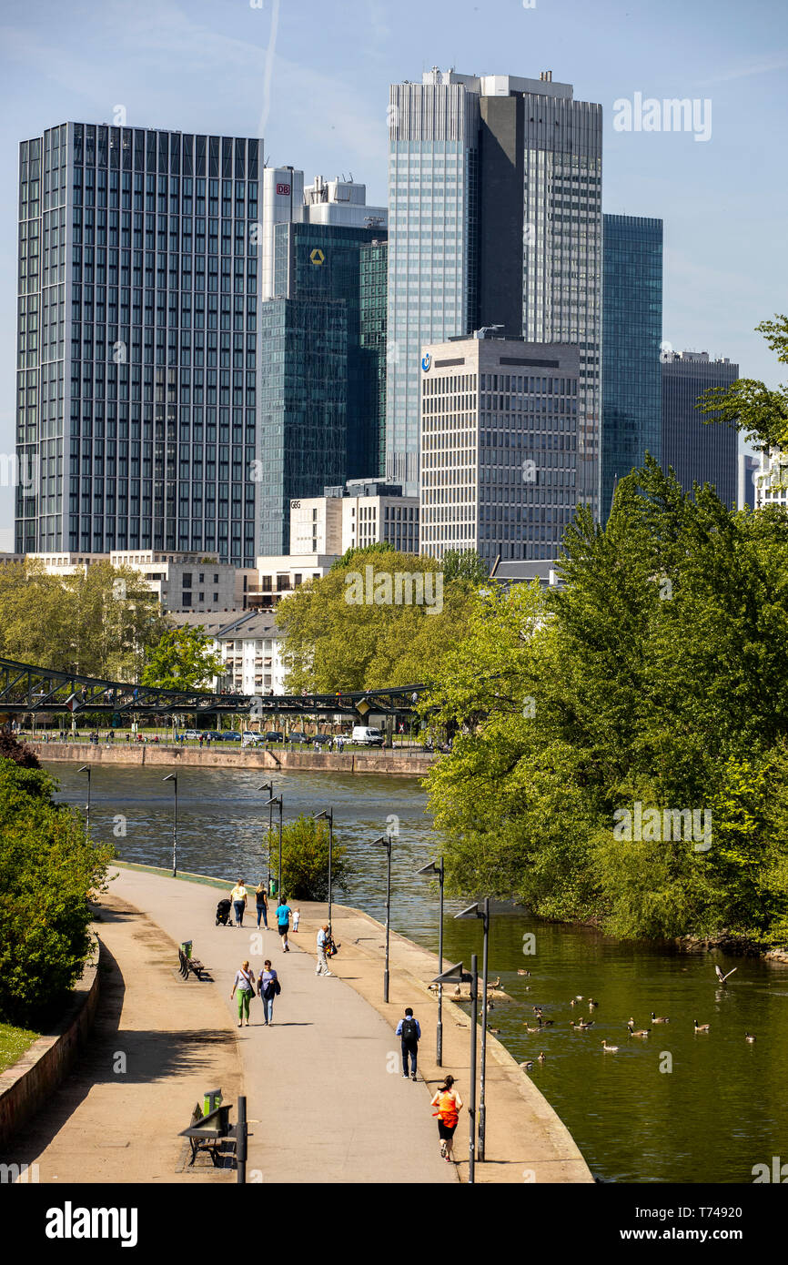 Frankfurt am Main, mit Blick auf die Skyline der Stadt, linken Ufer des Main, Riverside, Stockfoto