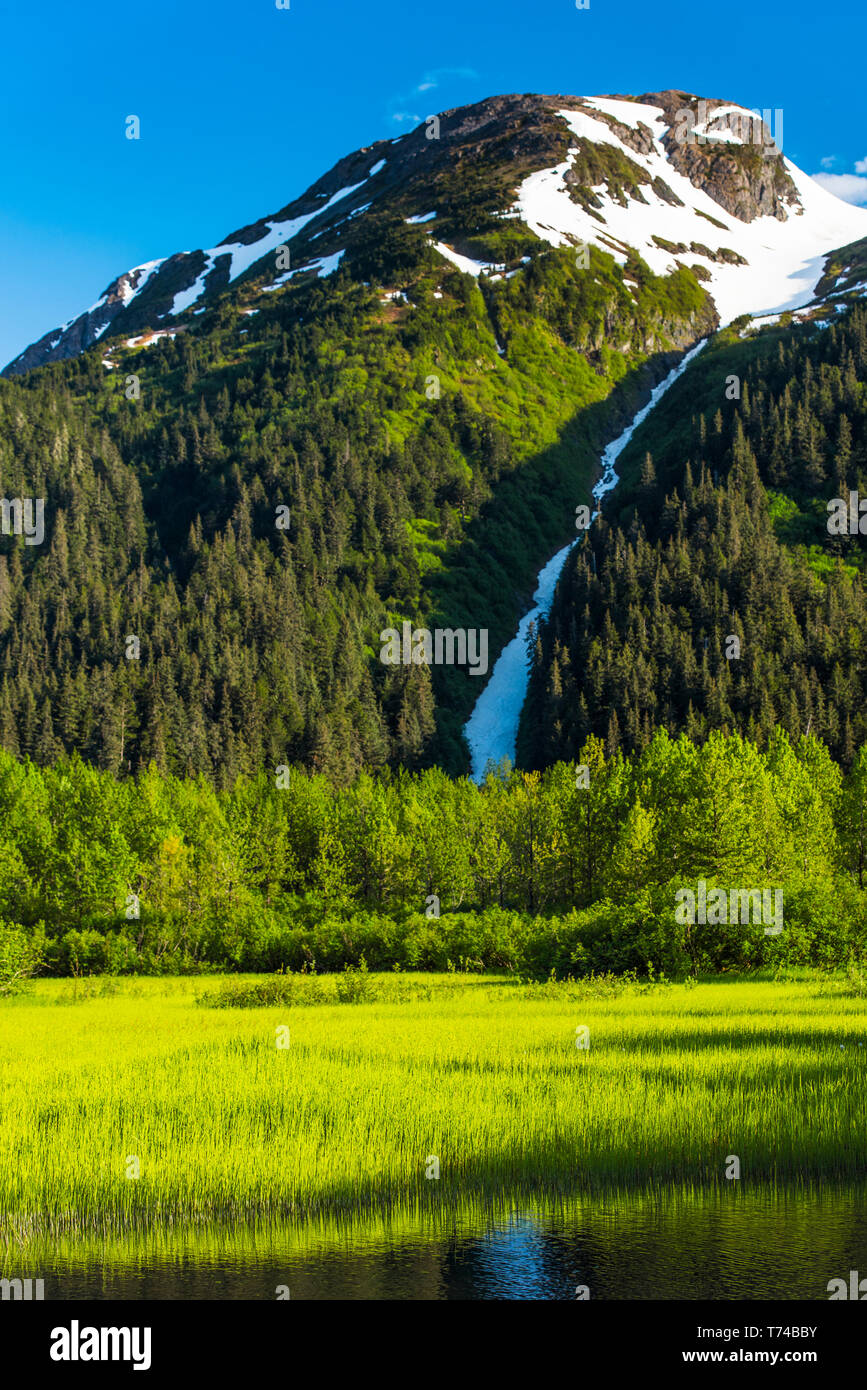 Eine malerische der Wasserstraßen in Portage Valley an einem sonnigen Sommerabend mit die schneebedeckten Gipfel der Chugach Mountains in den ruhigen Wasser widerspiegeln Stockfoto