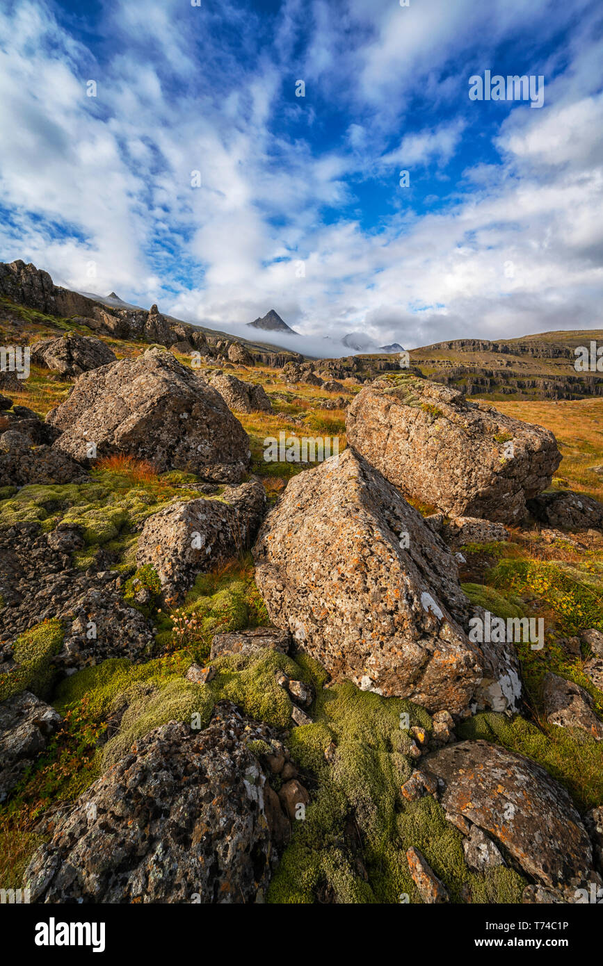 Wunderschöne, wilde Landschaft entlang der Ostküste von Island ; Island Stockfoto