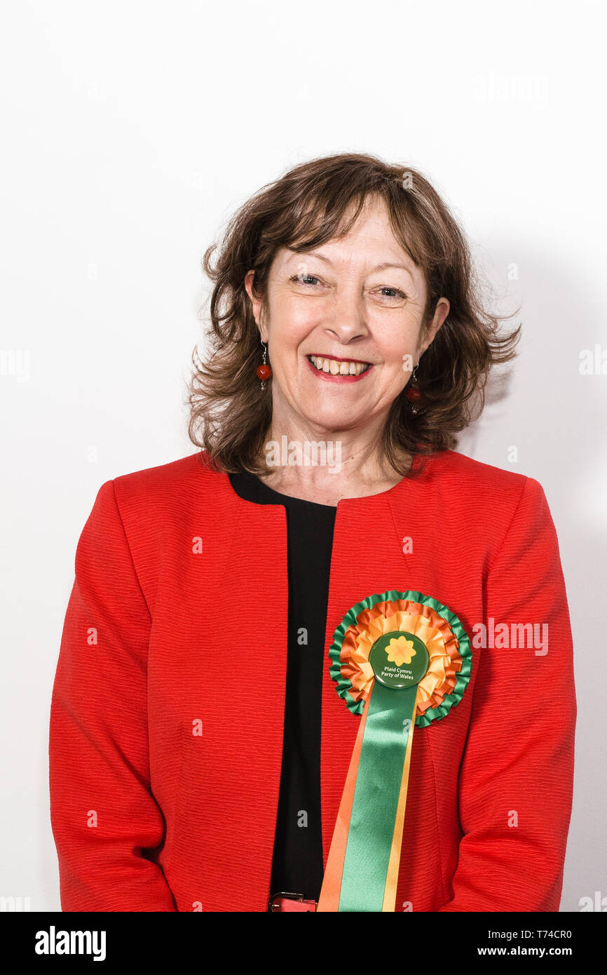 Jill Evans MDEP - Plaid Cymru Mitglied des Europäischen Parlaments für Wales Stockfoto
