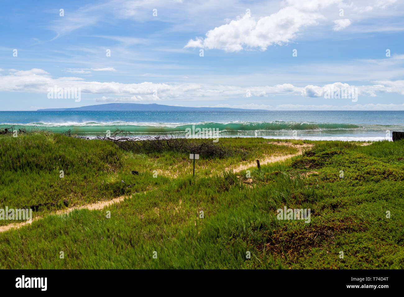 Kealia Pond Shoreline Stockfoto