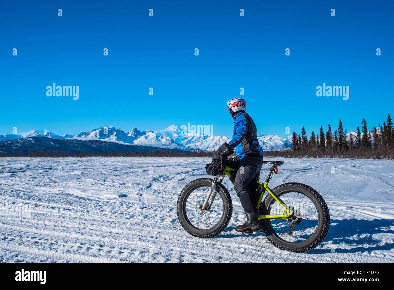 Ein Mann auf einem Fatbike auf dem Chulitna Bluff Trail an einem sonnigen Wintertag. Die Alaska Range und der 20,230' Mount Denali (McKinley) im Hintergrund... Stockfoto