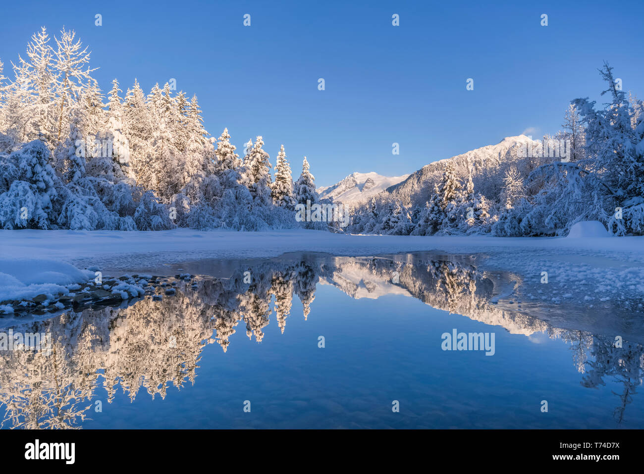 Winter am Nachmittag entlang der Küstenlinie des Mendenhall River, Tongass National Forest, Juneau, Alaska, Vereinigte Staaten von Amerika Stockfoto