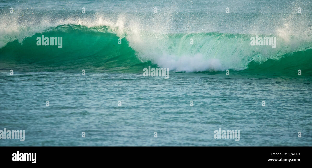 Nahaufnahme einer Welle bricht am Ufer; Wellington, Neuseeland Stockfoto