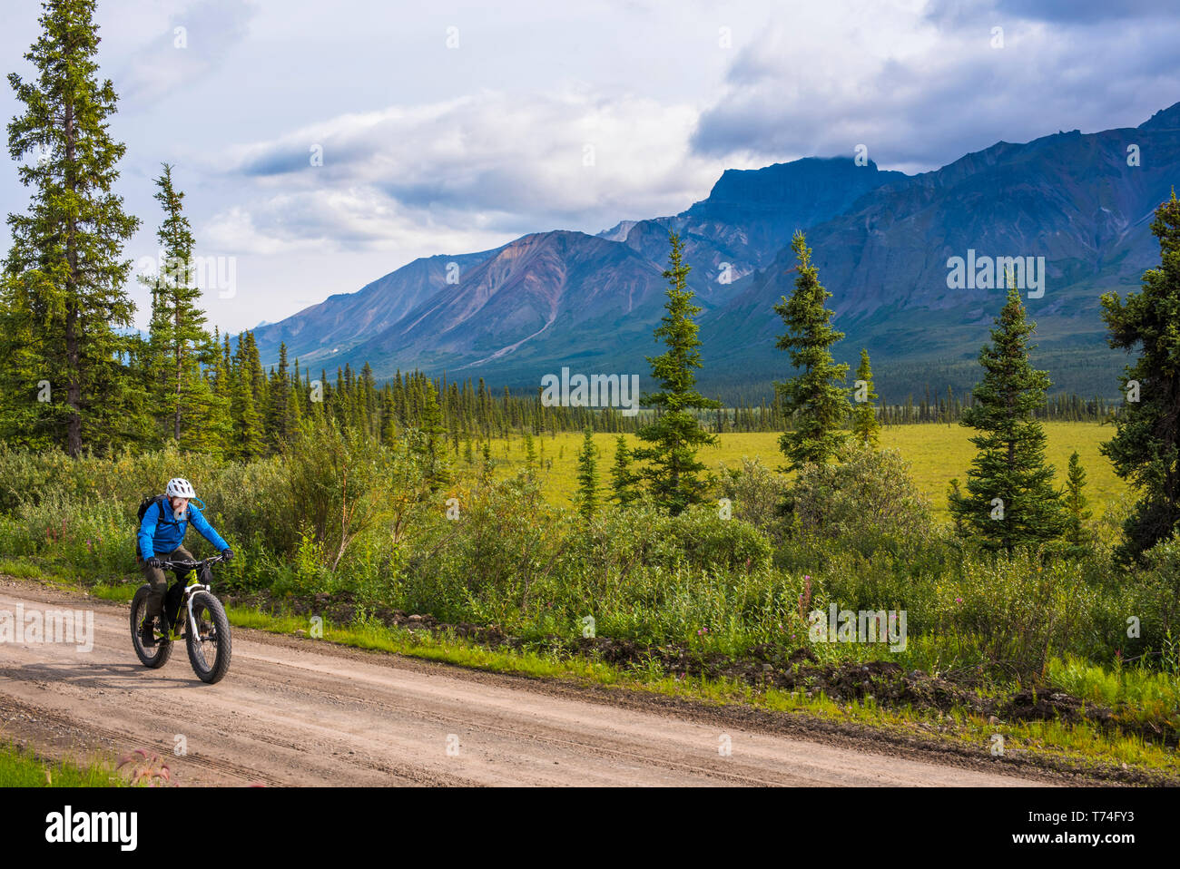 Ein Mann fett Radfahren auf dem nabesna Road in Wrangell-St. Elias National Park an einem bewölkten Sommertag im Süden - zentrales Alaska Stockfoto