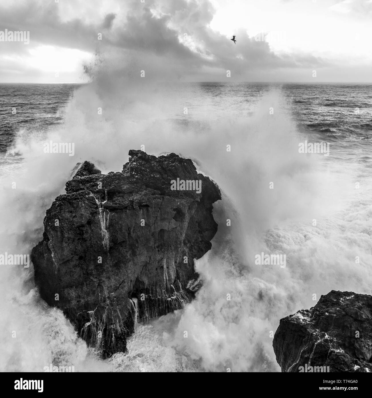 Große Welle Absturz in einem Felsen entlang der Küste. Die größten Wellen der Welt sind hier in Nazare, Nazare, Leiria District, Portugal Stockfoto