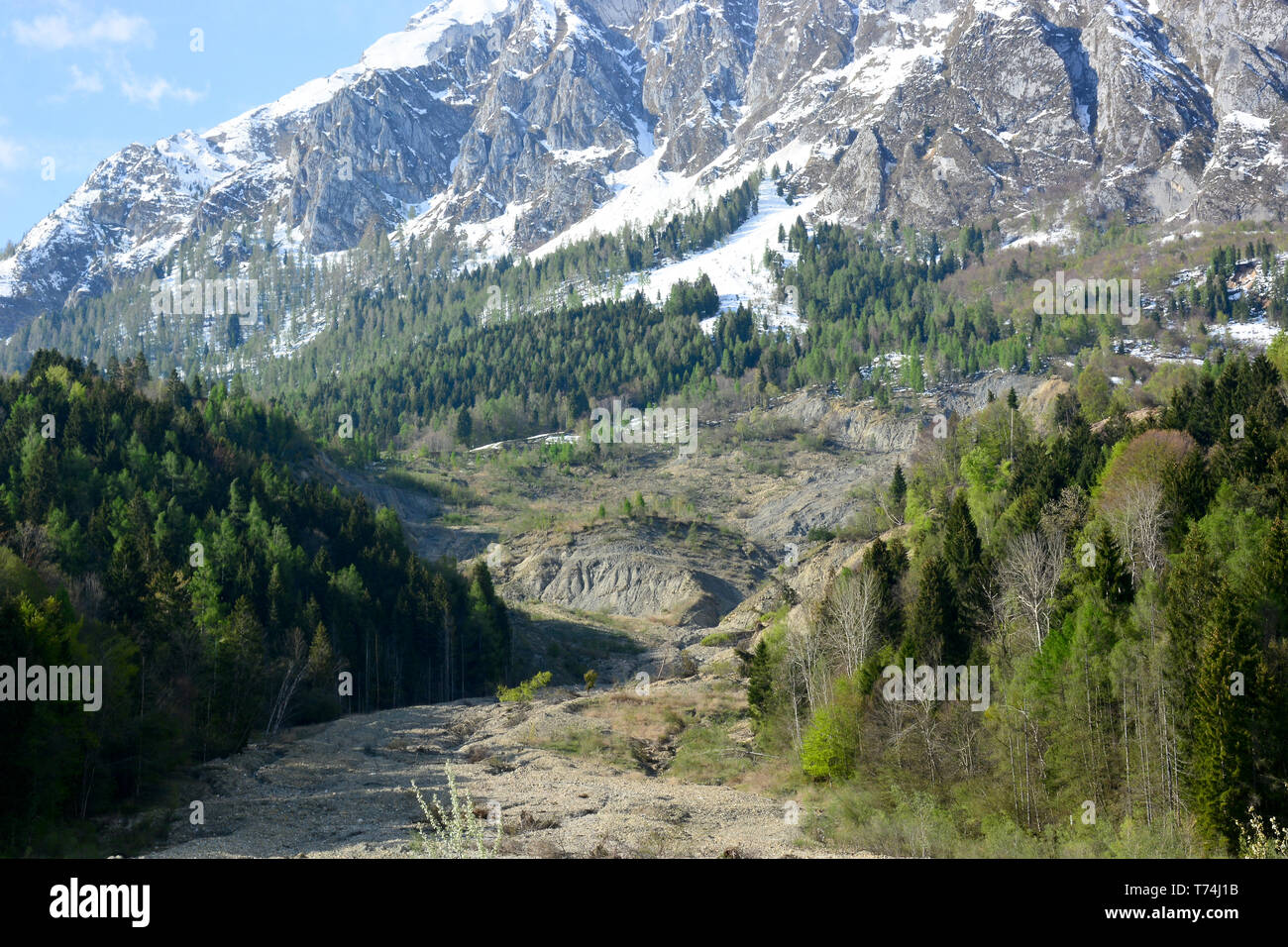 Der erste Schnee in der Provinz Belluno, in Alpago Stockfoto