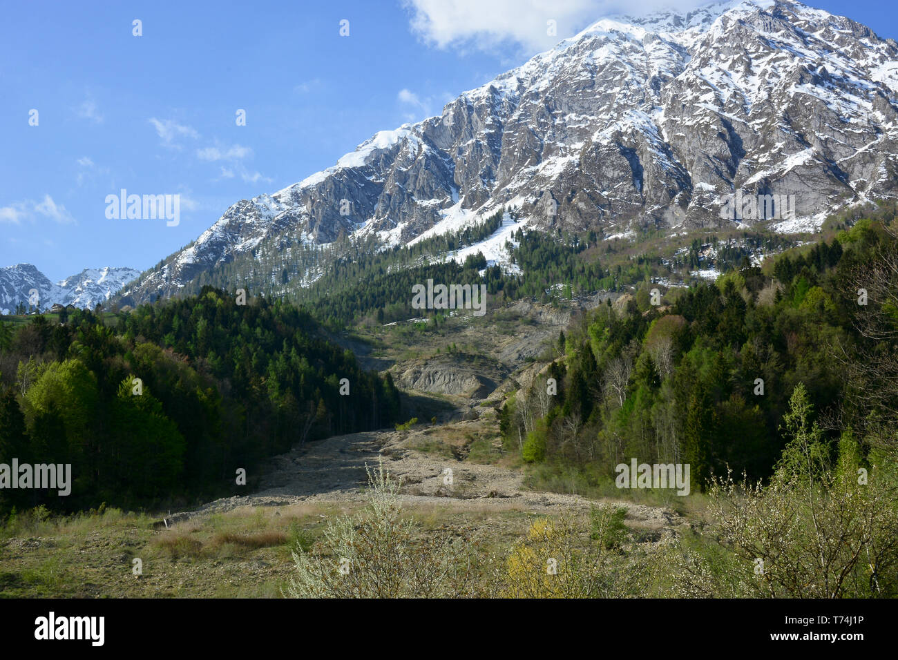 Der erste Schnee in der Provinz Belluno, in Alpago Stockfoto