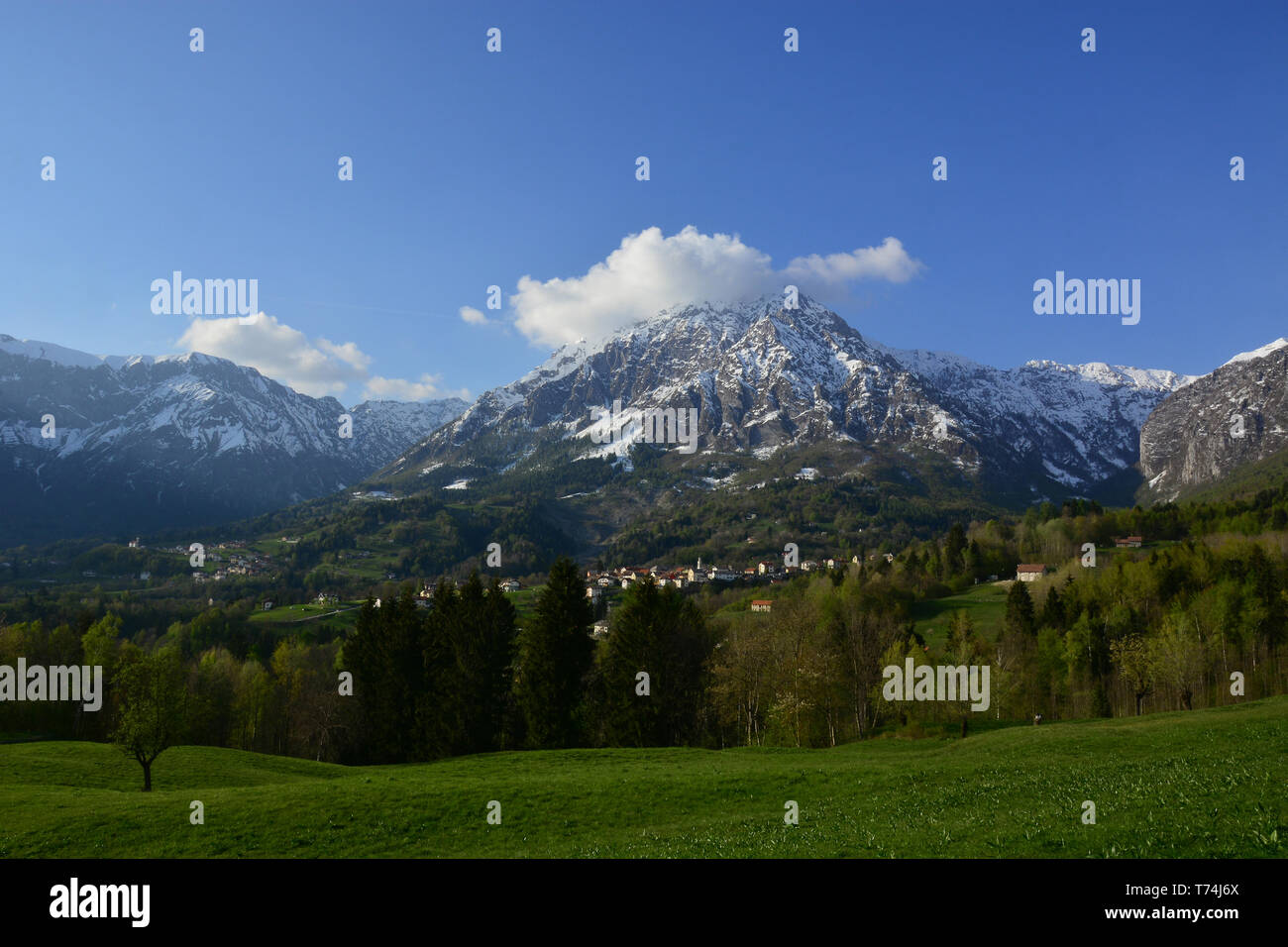 Der erste Schnee in der Provinz Belluno, in Alpago Stockfoto