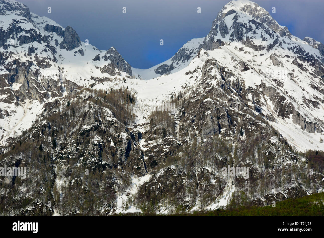 Der erste Schnee in der Provinz Belluno, in Alpago Stockfoto