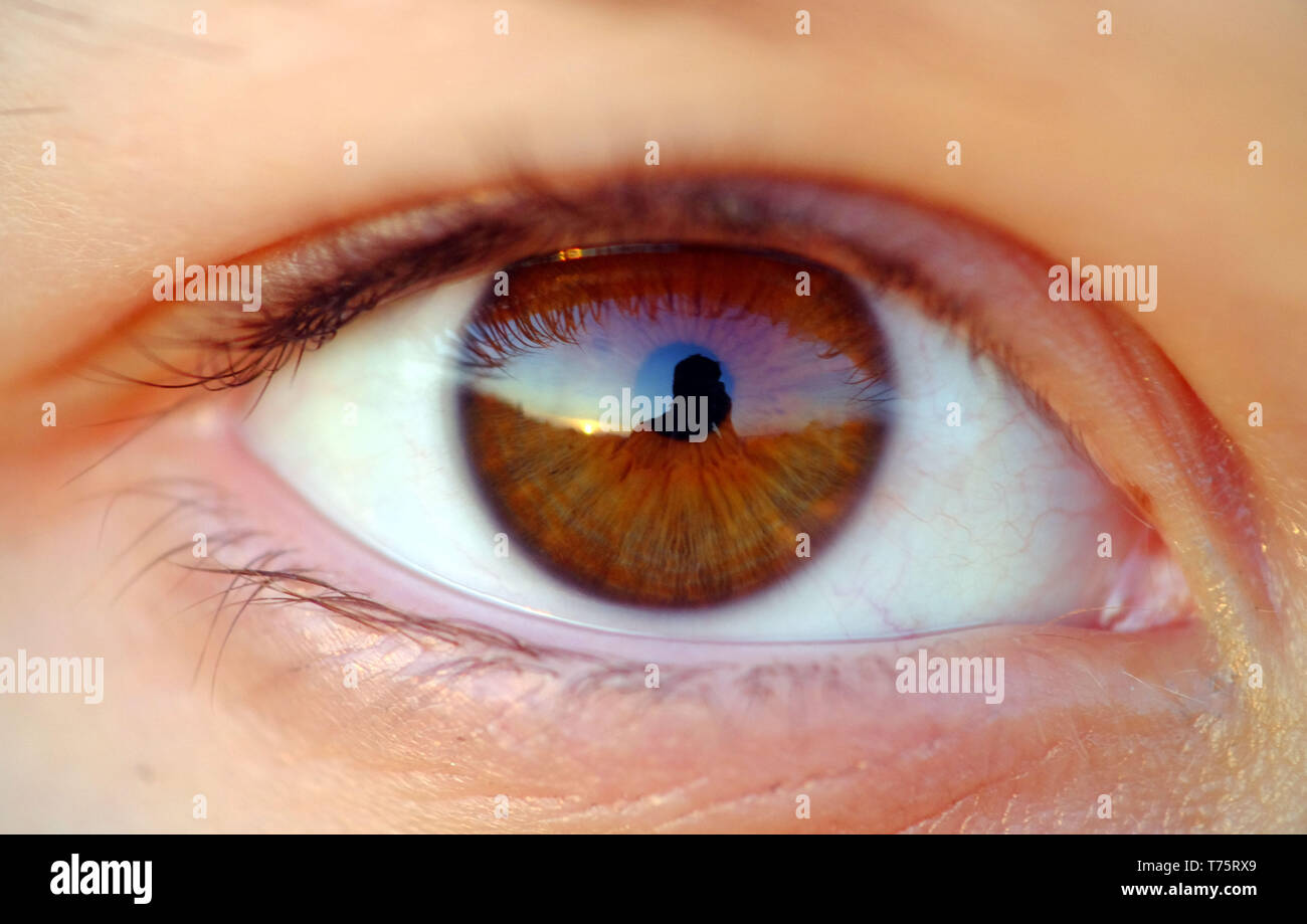 Nahaufnahme eines Kindes Auge mit Reflektion Stockfoto
