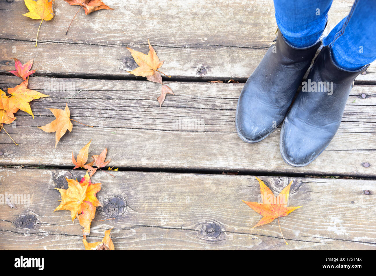 Blick von oben auf die schwarze Stiefel mit gelbem Ahorn Blätter im Herbst Saison Stockfoto