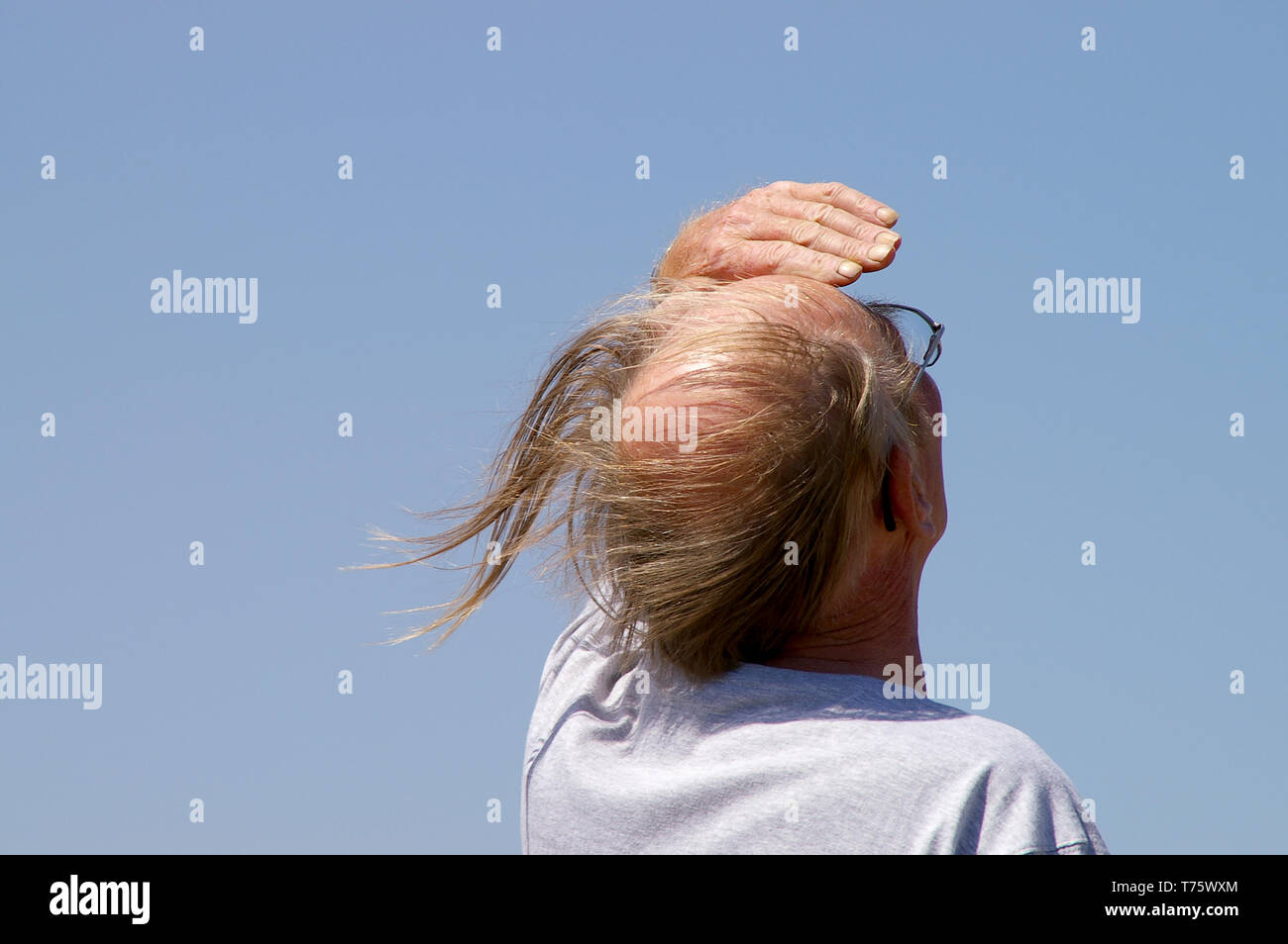 Weiß im mittleren Alter oder alter Mann mit Kamm über Frisur in den Wind. Mann außerhalb an einem windigen Tag mit kahlen Pastete und lange Seite Haar um durchgebrannt Stockfoto