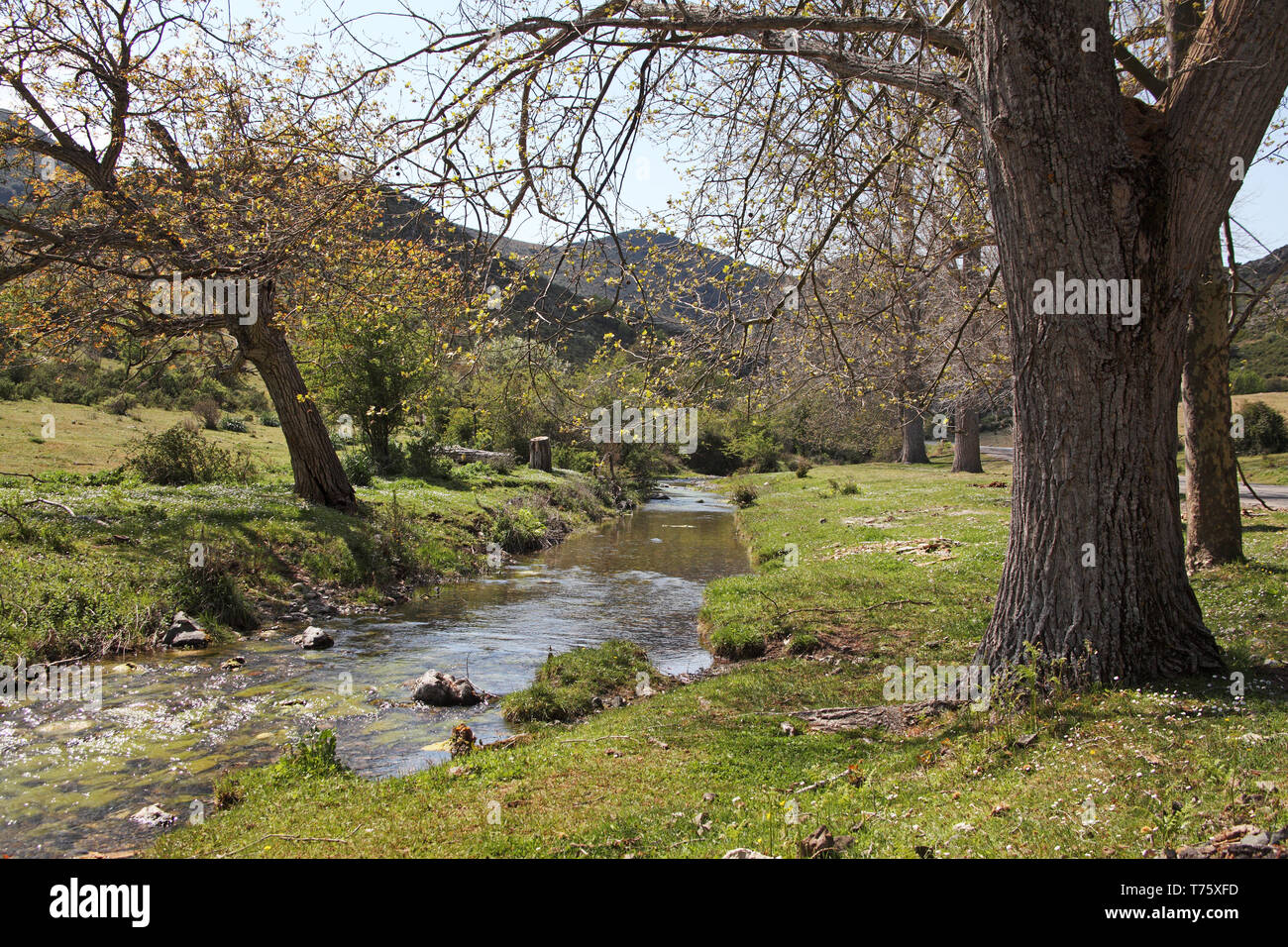 Rau de Lagani Parc Naturel Regional de Corse Korsika Frankreich Stockfoto