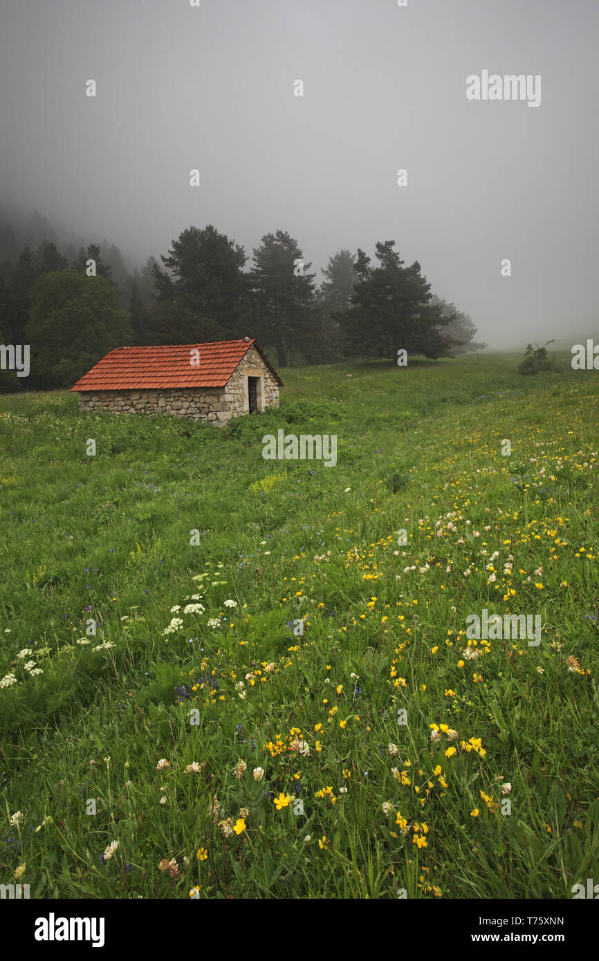 Berghütte in der Nähe von oben auf das Tal de Combeau Regionaler Naturpark Vercors Vercors Frankreich Stockfoto