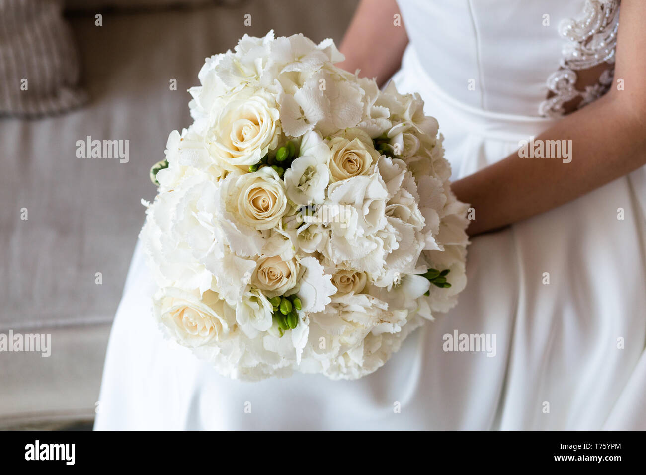 Exquisite Brautstrauß aus weissen Rosen, Hortensien und Freesien in den  Händen eines unkenntlich Braut Stockfotografie - Alamy
