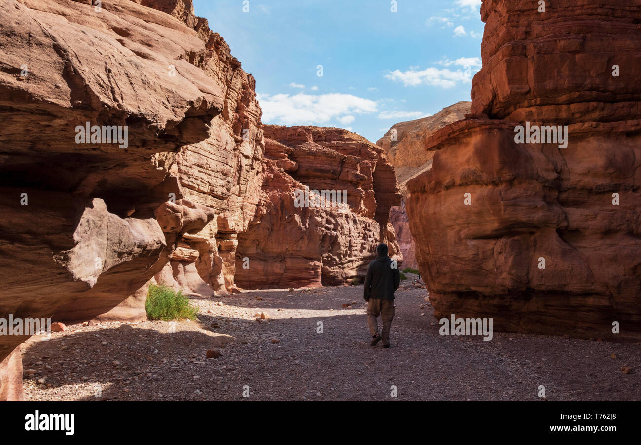 Ein einsamer Wanderer erkunden die Red Canyon in den Bergen Eilat in Israel in der Nähe der östlichen Ende der schmalen Abschnitt des Wadi Shani Stockfoto