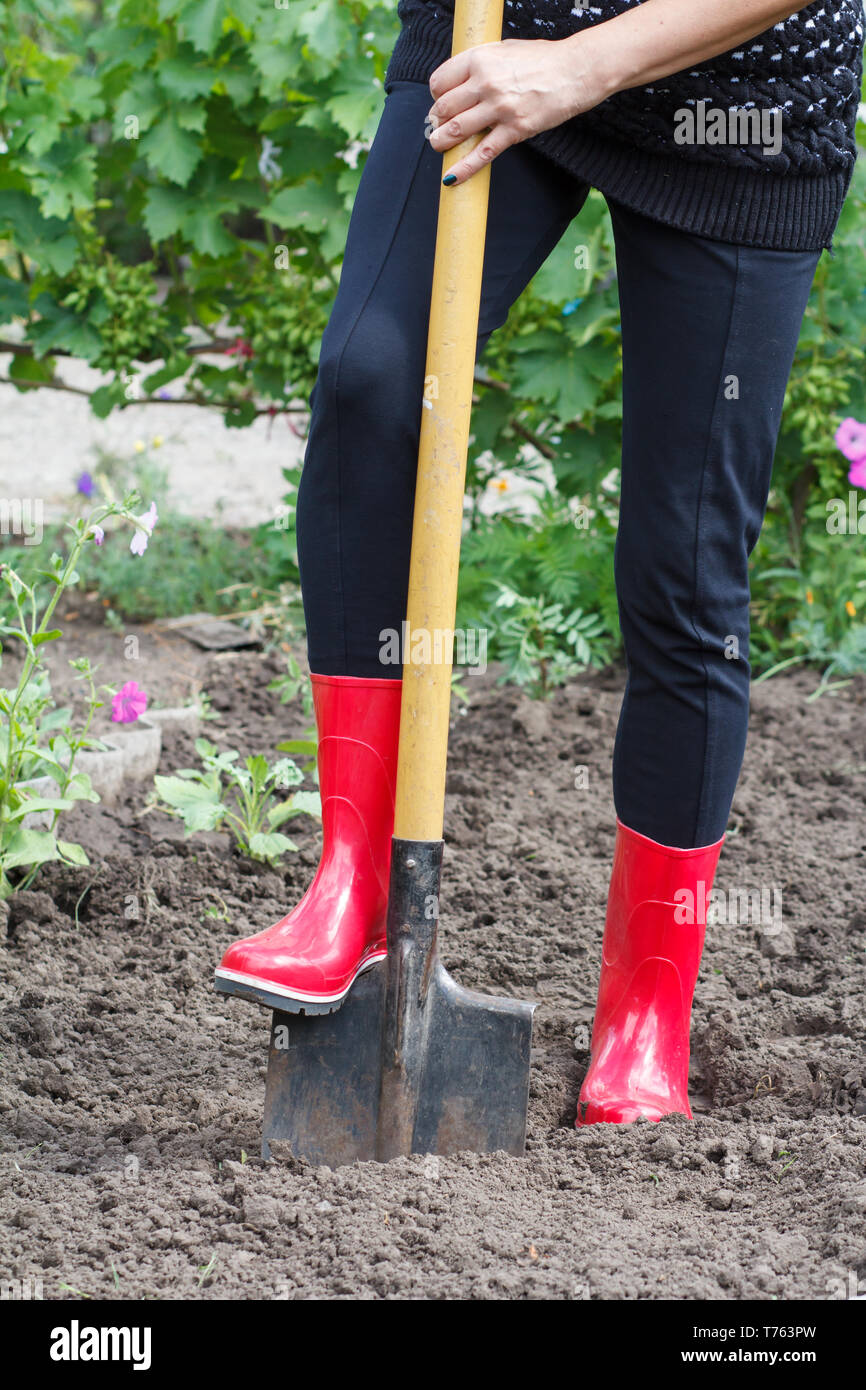 Frau In Rot Gummistiefel Ist Graben Boden Fur Den Garten Ausgestattet Landwirt Grabungen In Einem Garten Mit Einem Grossen Schaufel Stockfotografie Alamy