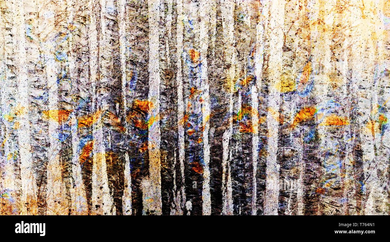 Abstrakte birch Grove Hintergrund in den Farben des Herbstes. Digitale Kunst Illustration. Toll für einen Hintergrund, Textur, Einladung, Schreibwaren Stockfoto