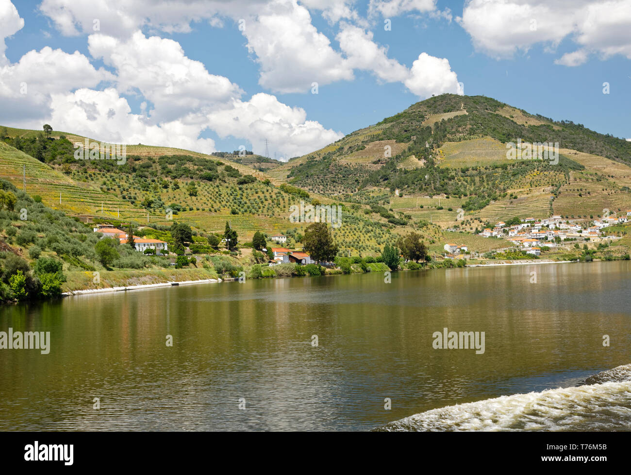 Douro River Valley Szene; hänge; Weinberge; Häuser; Dorf, Wasser; Ländliche; ruhig; Landschaft; Europa; Portugal; Feder; horizontal Stockfoto