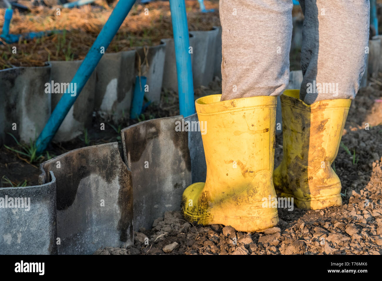 Landwirtin gummistiefel fuss Fotos und Bildmaterial in hoher