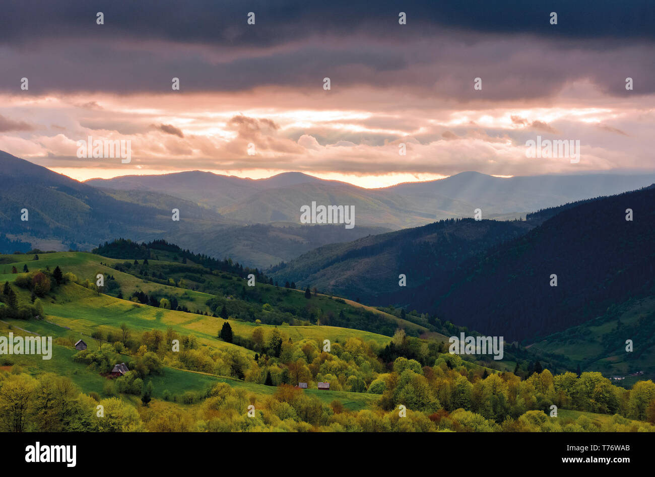 ländlichen Berggebiet im Frühling. landwirtschaftliche Flächen auf Hügeln mit Wald. schönen und lebendigen Landschaft mit bewölktem Himmel bei Sonnenuntergang. Stockfoto