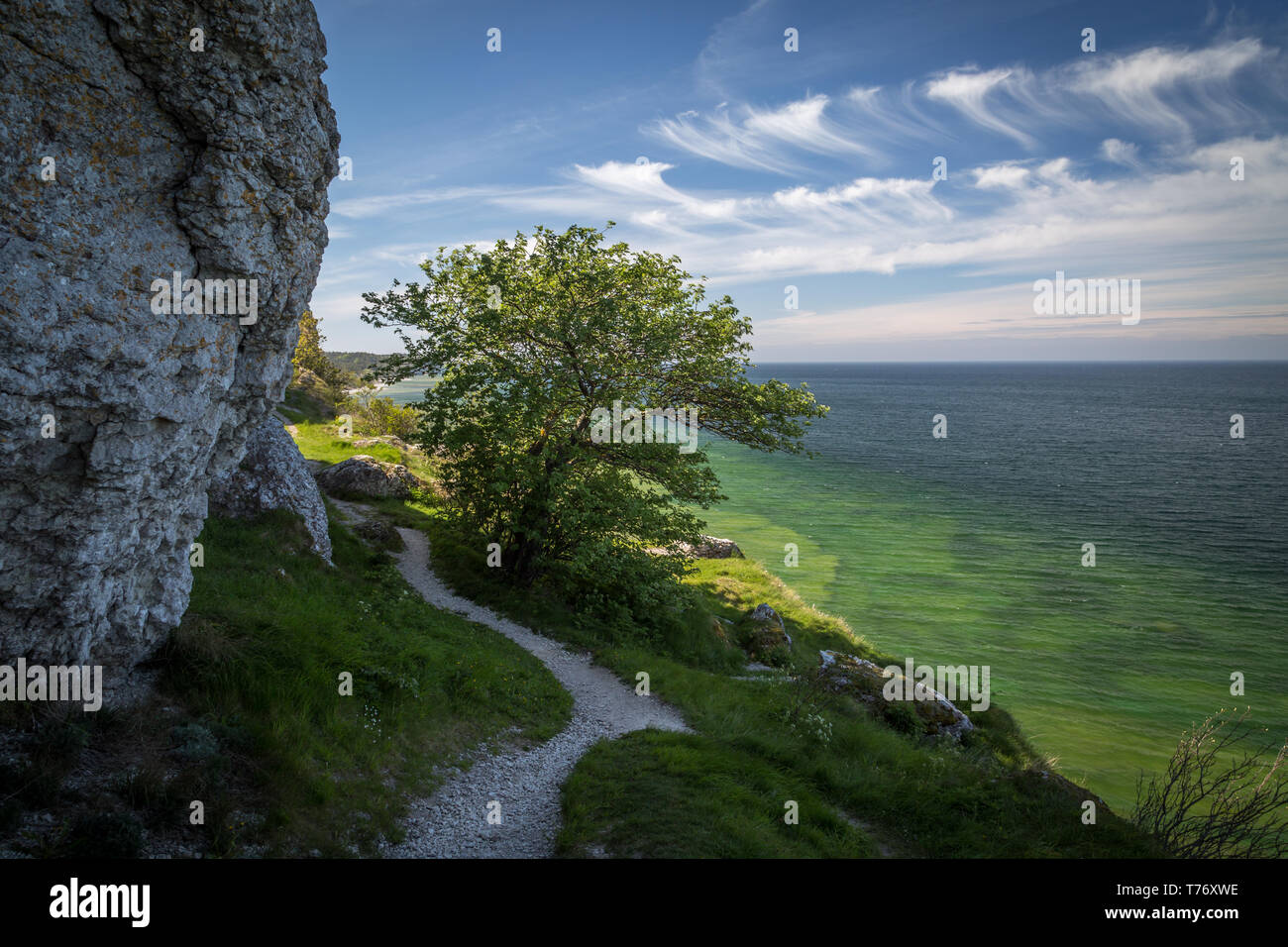 Weg entlang der Kalkfelsen über dem kristallklaren Wasser der Ostsee an der Westküste von Gotland, Schweden. Stockfoto