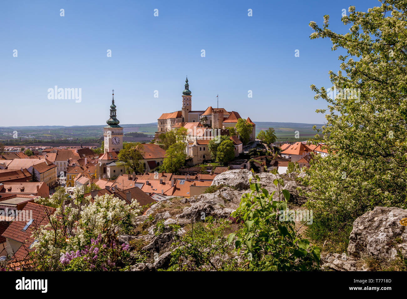 Malerische Stadt Mikulov im Frühjahr sonniger Tag mit blühenden Sträuchern und Bäumen. Mikulov, ausgebreitet auf den Hügeln der Pollauer und umgeben von vineyar Stockfoto