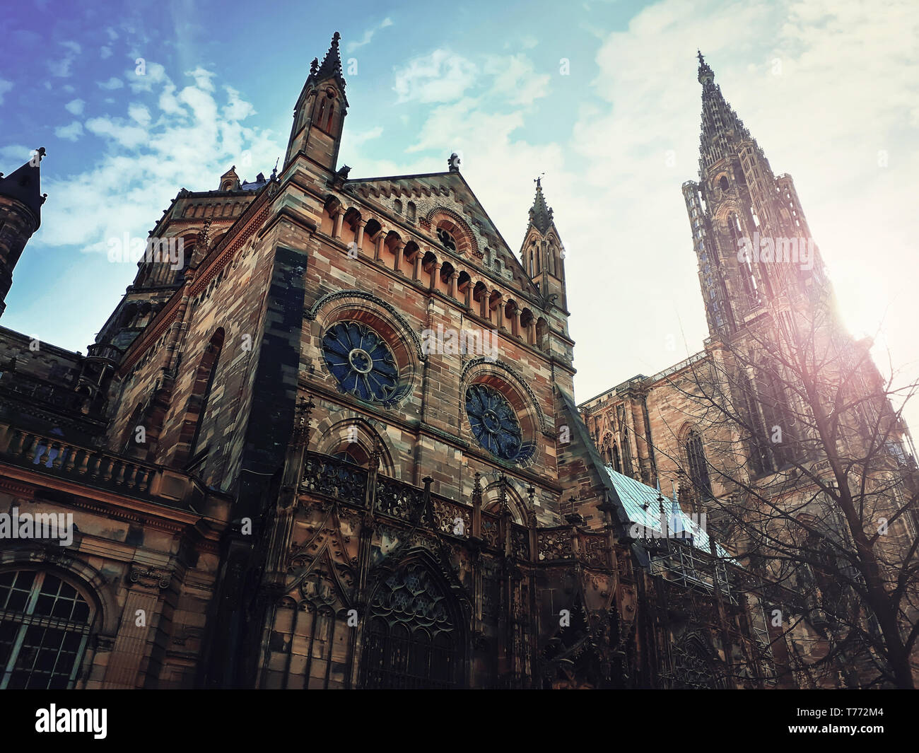 Seitenansicht des Römisch-katholischen Kathedrale Notre Dame von Straßburg im Elsass, Frankreich. Schönen sonnigen Tag mit blauen Himmel. Majestätische gotische Architektur außend Stockfoto