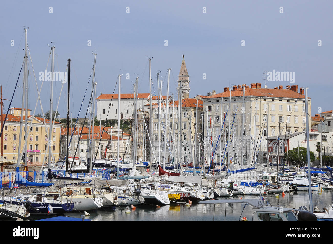 Port, Piran, Slowenien, kikötő Stockfoto