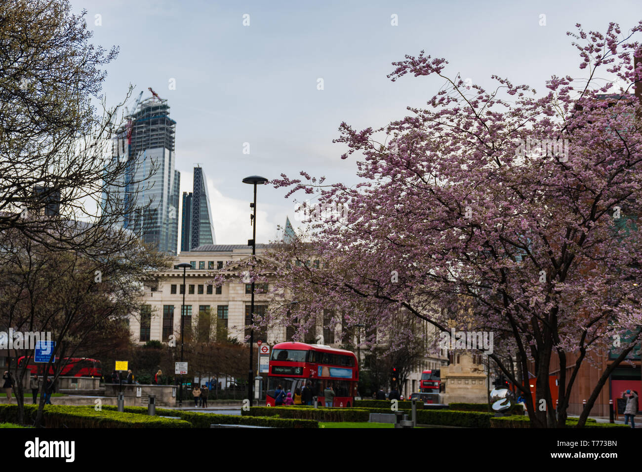Carter Lane Gärten - Londra Stockfoto