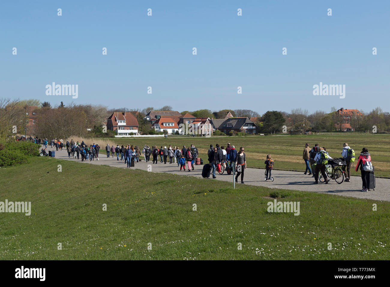 Tag Besucher auf dem Weg vom Hafen zum Dorf, Spiekeroog Insel, Ostfriesland, Niedersachsen, Deutschland Stockfoto