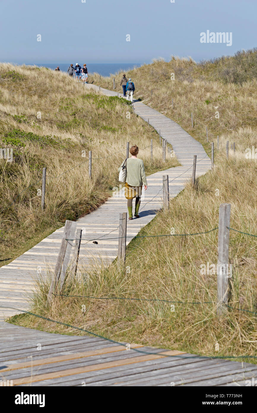 Anschluss durch die Dünen zum Strand Spiekeroog Insel, Ostfriesland, Niedersachsen, Deutschland Stockfoto