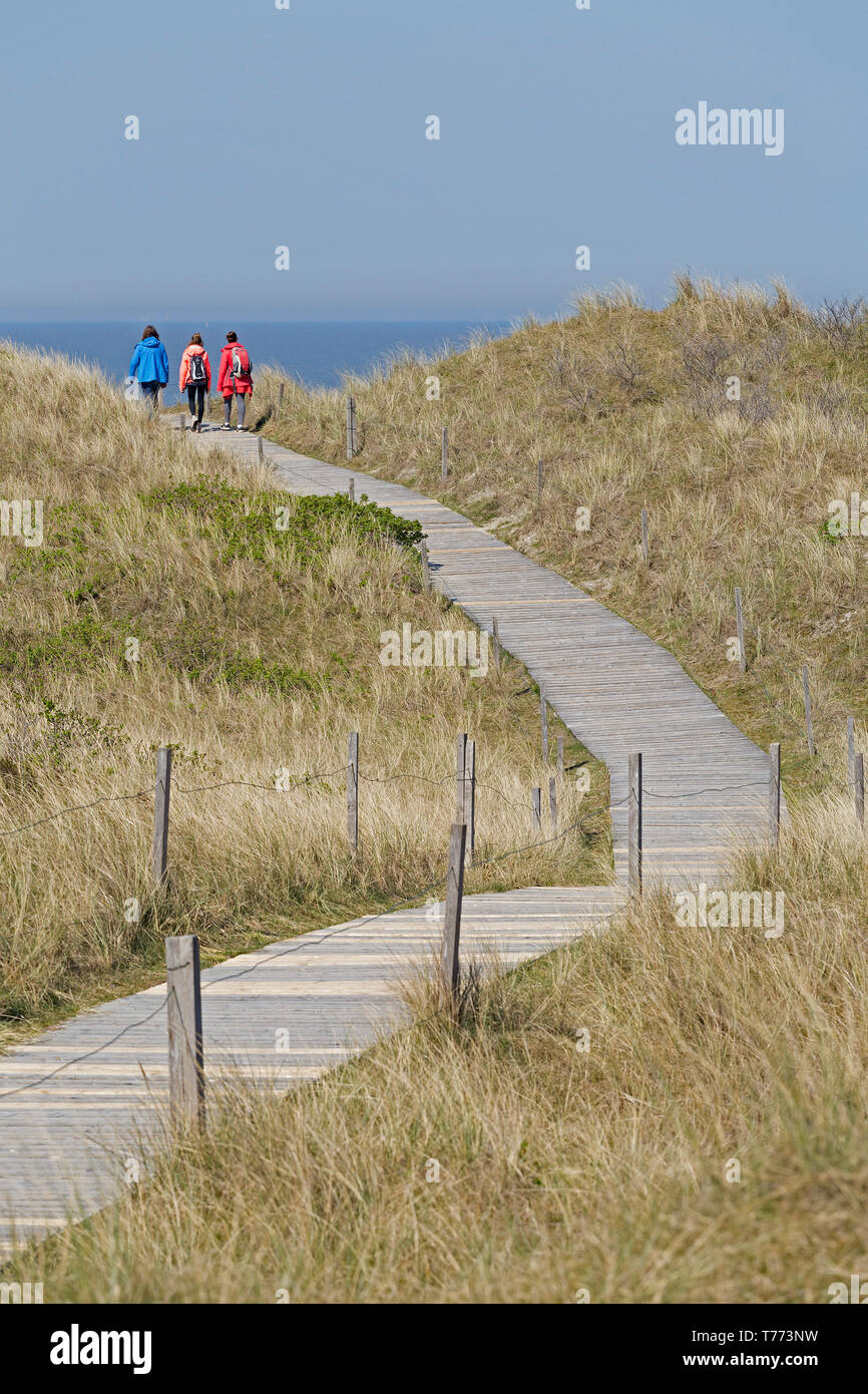 Anschluss durch die Dünen zum Strand Spiekeroog Insel, Ostfriesland, Niedersachsen, Deutschland Stockfoto